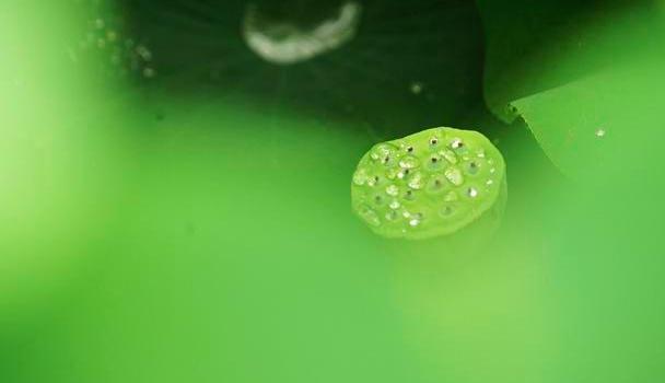 女人离婚后对前夫的感情会怎样,离婚后女人想前夫