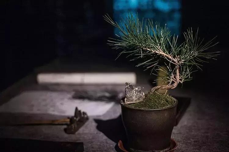 万事皆有对错唯有人心不可估量,凡事须有度完整版