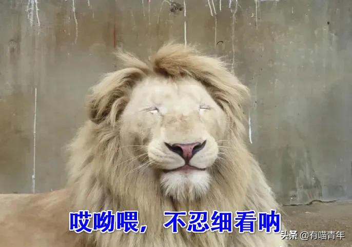 北大石狮子绝育事件,北大石狮子修复了吗