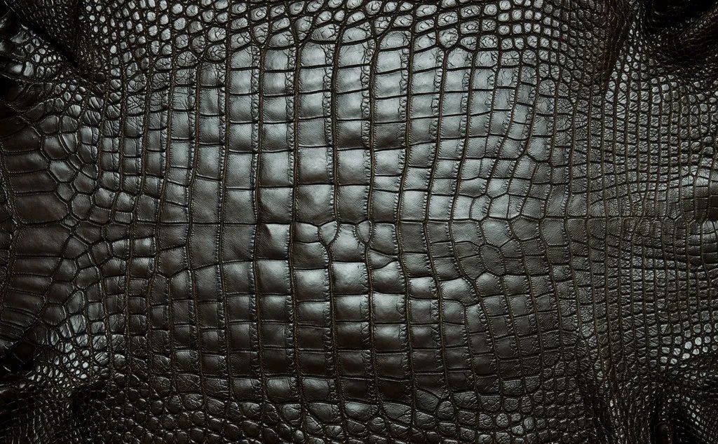 台湾鳄鱼皮皮具品种,黑加仑紫鳄鱼皮品种