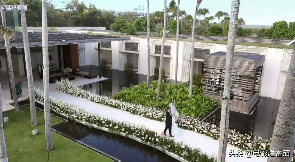 bbc纪录片案件,bbc纪录片百万婚礼策划