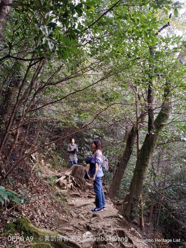 第997回：斋藤道三长良川战，明智光秀本能寺变