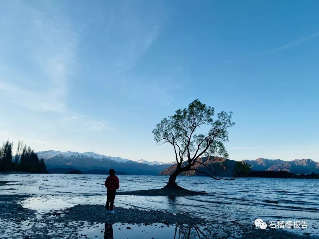 旅行7天,新西兰霍比特人村游记