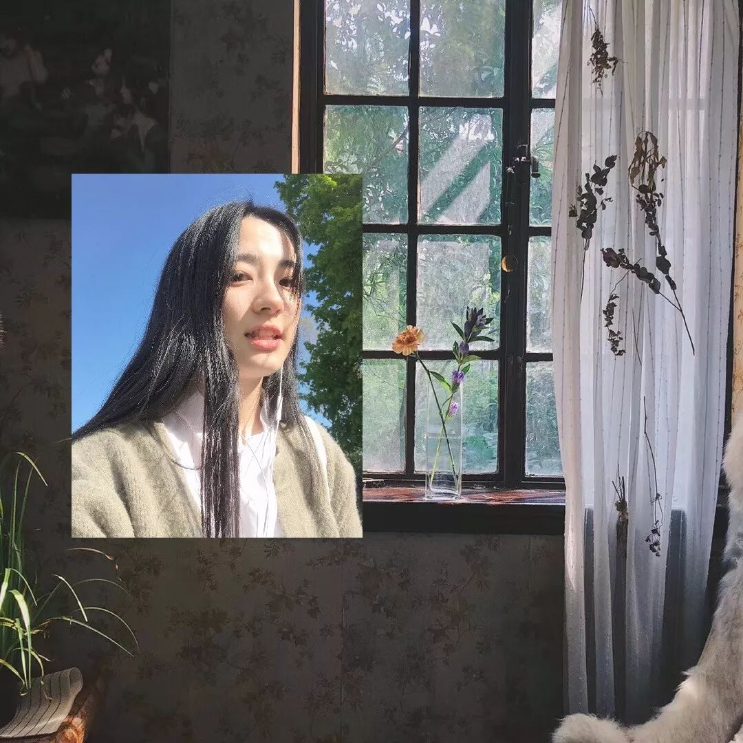 什么花最受女孩欢迎,女孩子中比较受欢迎的花