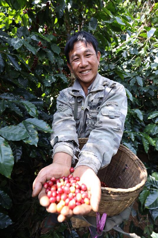 肯德基咖啡是如何制作的,肯德基kcoffee怎么喝的