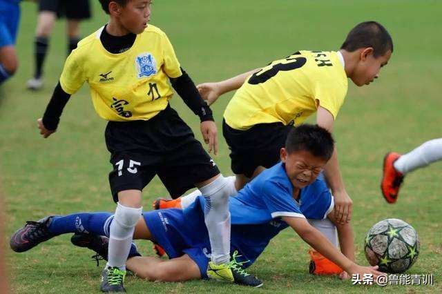 从小培养的人才,从小培养长大成才