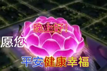 恒大莲花足球场最新消息,广州恒大莲花足球场效果图