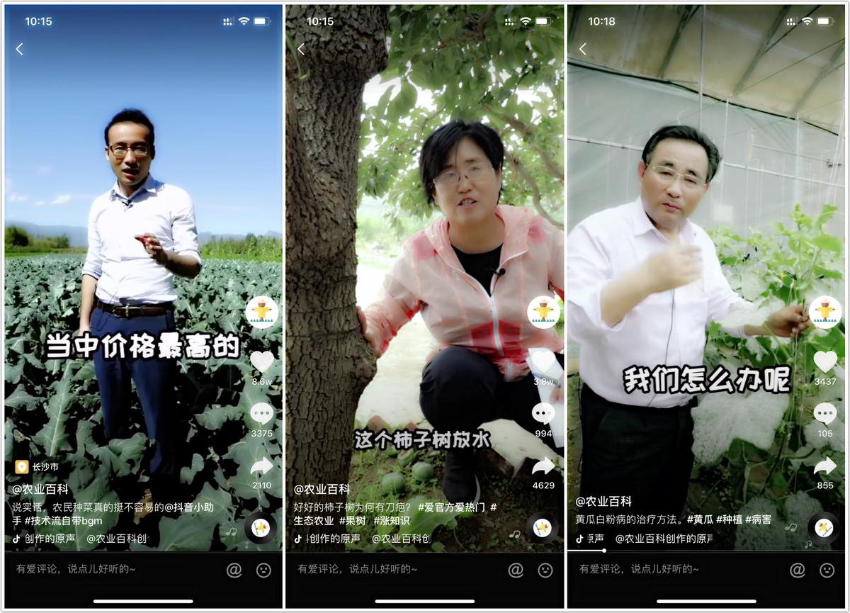 长虫的水果另一半还能吃吗,长虫能吃吗