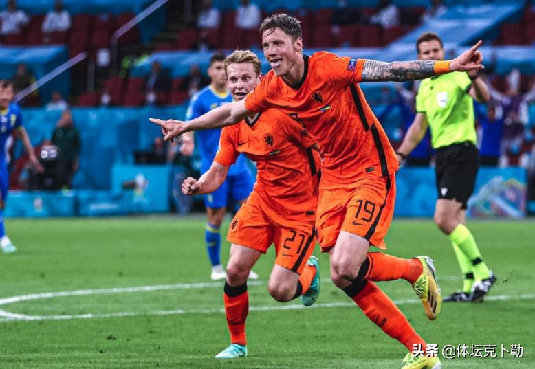 荷兰中卫德波尔,德波尔能否带领荷兰队有所突破