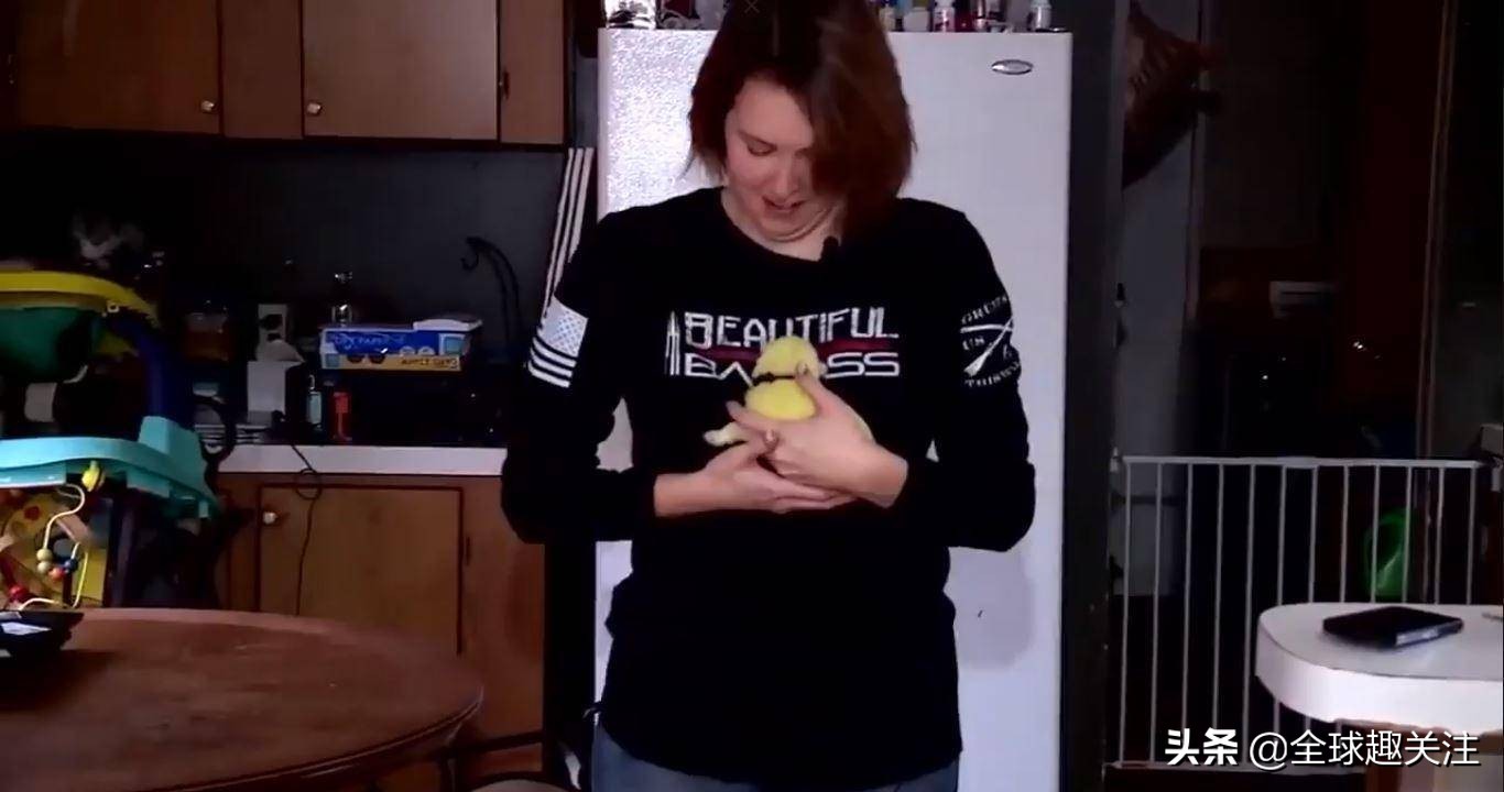 白色的狗妈生下绿色宝宝,白色小狗妈妈生宝宝