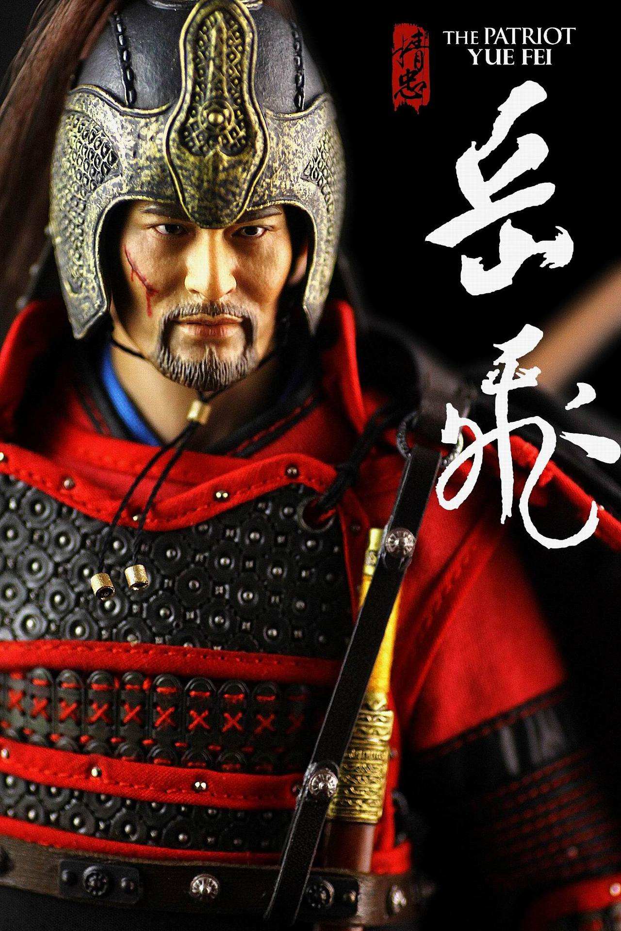 中国古代军事家100人排行榜,中国古代十大含冤名将