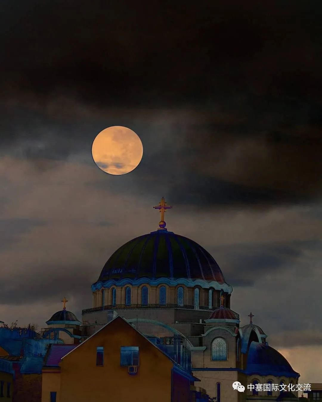 #塞尔维亚神编辑#冲上热搜！“铁板朋友来了！”网友：有点香