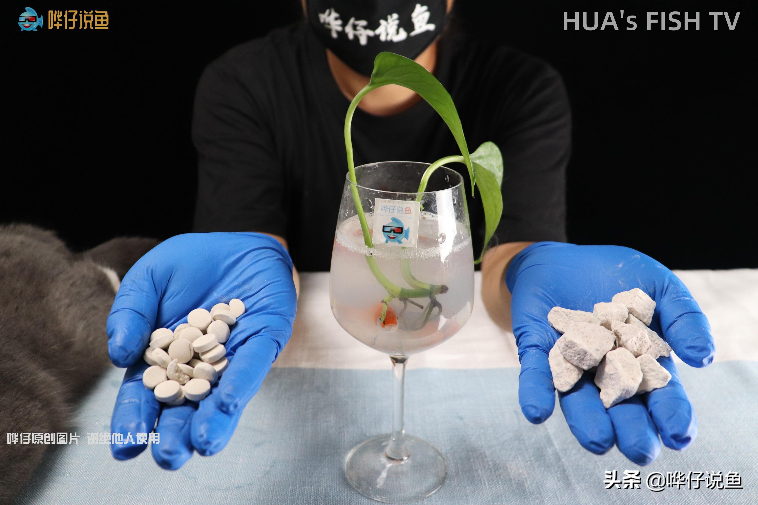 鱼缸水发白泡沫特别多怎么解决,鱼缸水面上经常有小泡泡怎么办