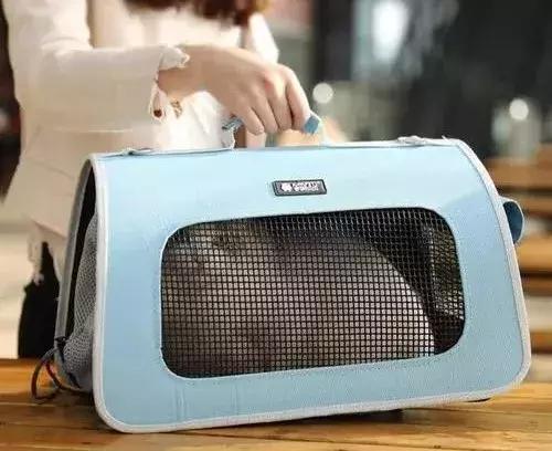 猫咪生病了带它去医院,猫咪生病去医院检查流程