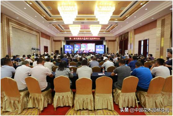 行业盛会视频,行业精英齐聚展会