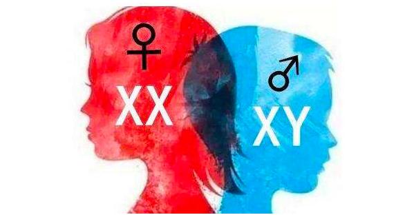 无性生殖到有性生殖的进化,无性繁殖和有性生殖的优点和缺点