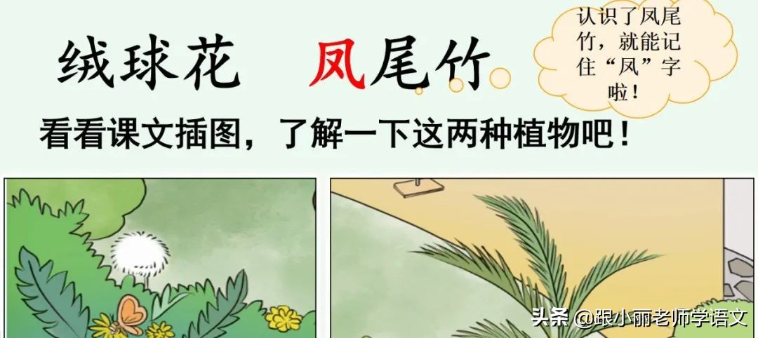 大青树下的小学重要背诵内容,大青树下的小学必会知识点