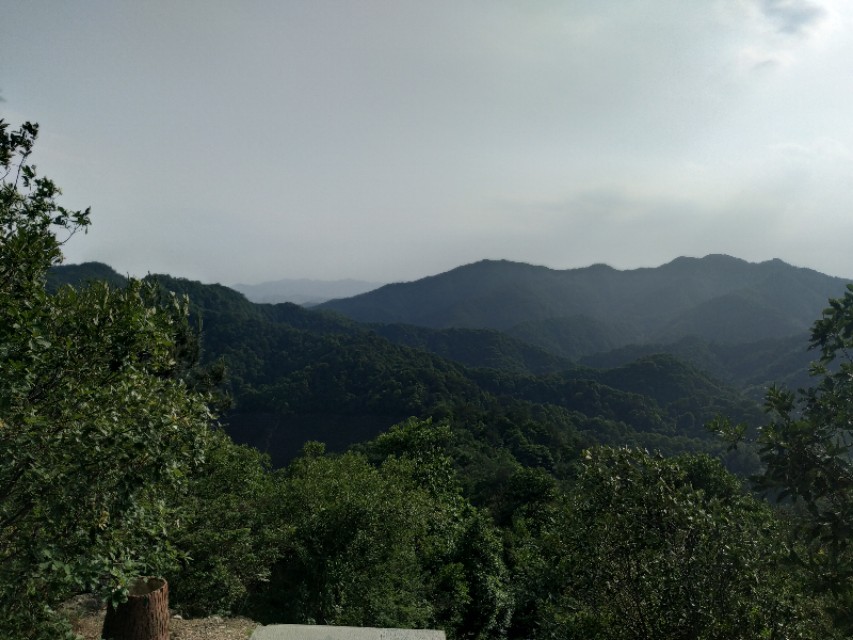 杭州西湖茶山游玩攻略,杭州西湖边游玩