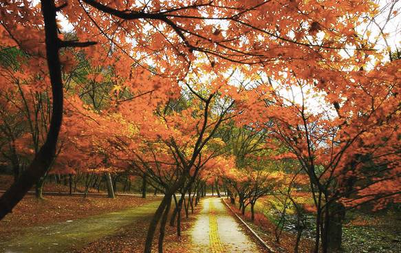 宜兴人很幸福吗,宜兴人的生活现状