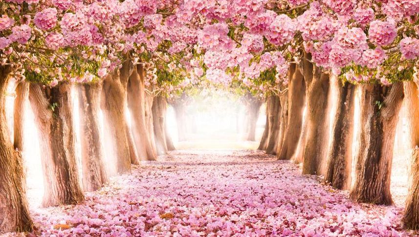 惊喜！阿克苏人这个月纷纷到花朵朵免费看电影