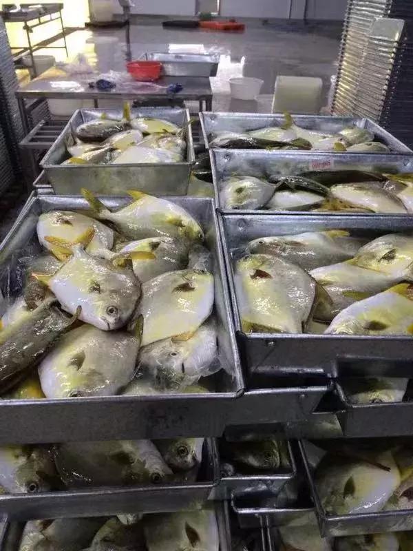 北海特色农产品,北海有名水产品