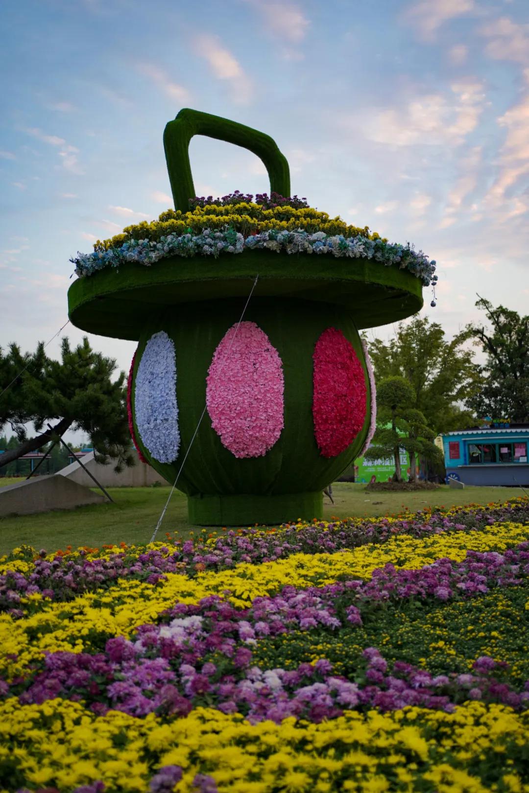 藏不住了！国庆苏州这片花海美哭了！大人小孩玩到不想走