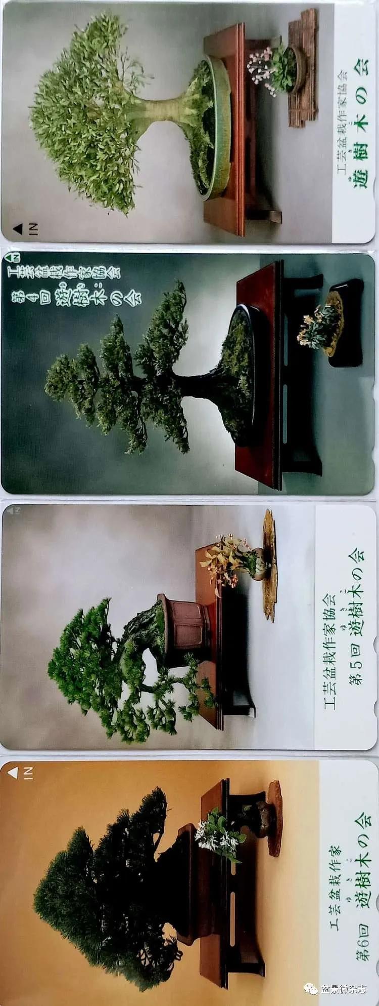 鐩嗘櫙鑱旂郴鐢佃瘽,鐩嗘櫙鑱旂郴鐢佃瘽鍙风爜