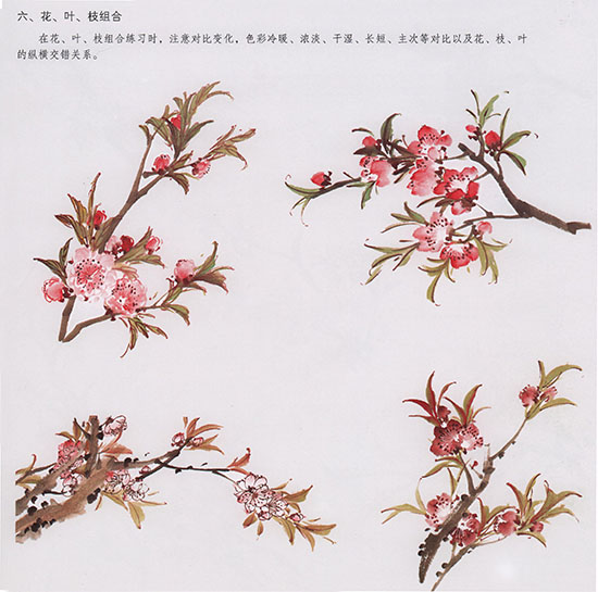 国画转水转粉技法,转桃花教程