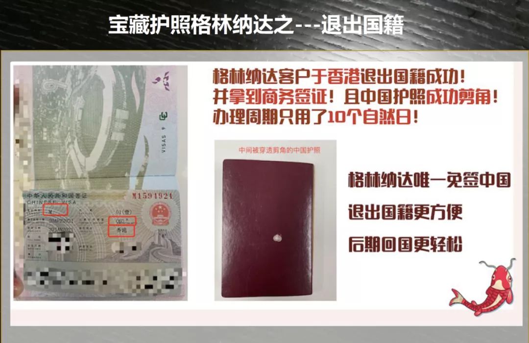 格林纳达的护照五年一换费用贵吗,格林纳达护照可以保留中国国籍吗