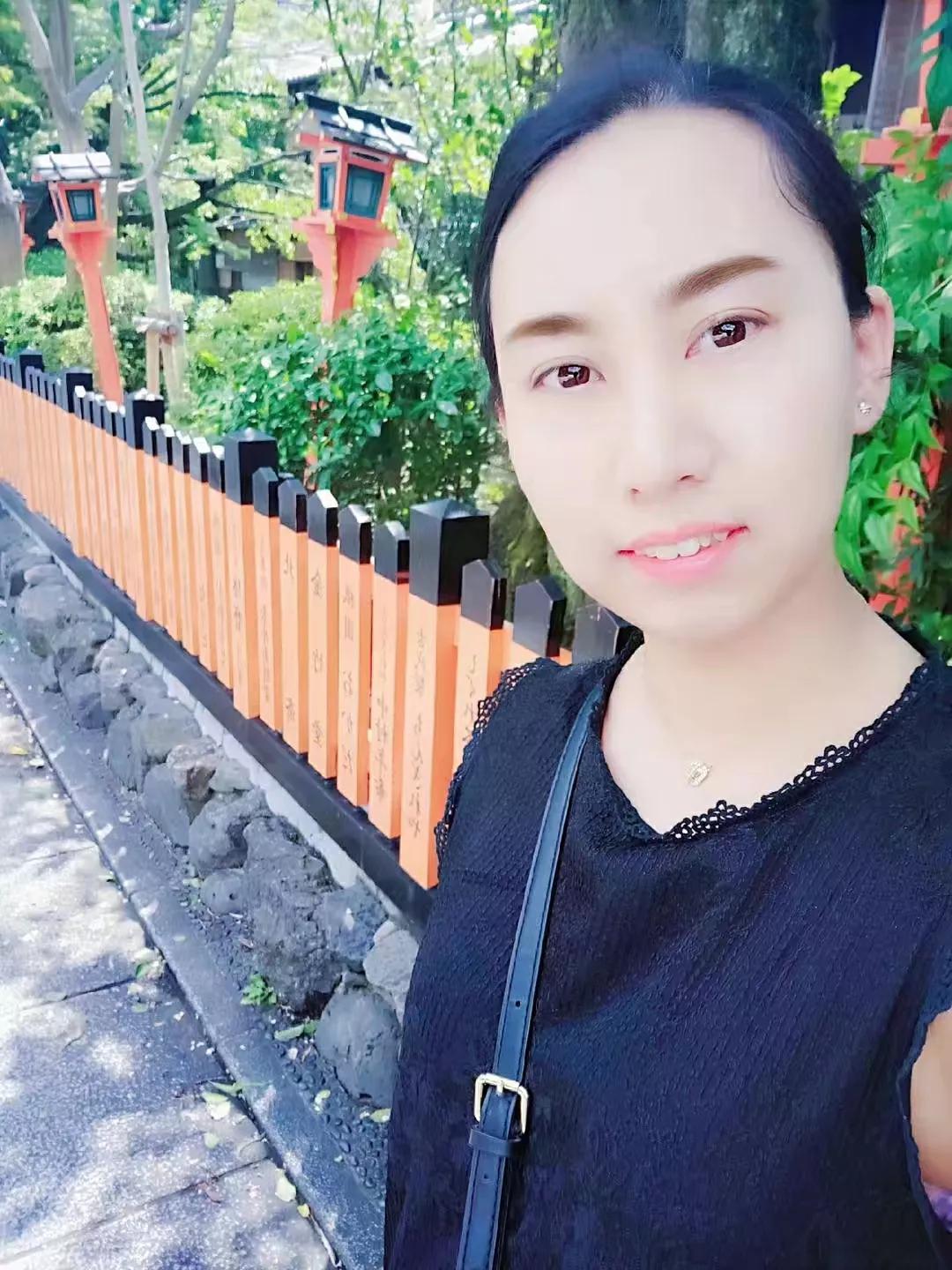 日本新干线列车视频,日本新干线价格