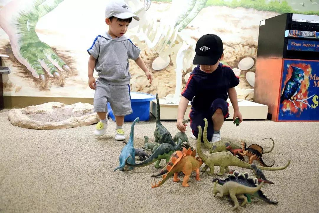 芝加哥南部旅游攻略图文,芝加哥附近旅游