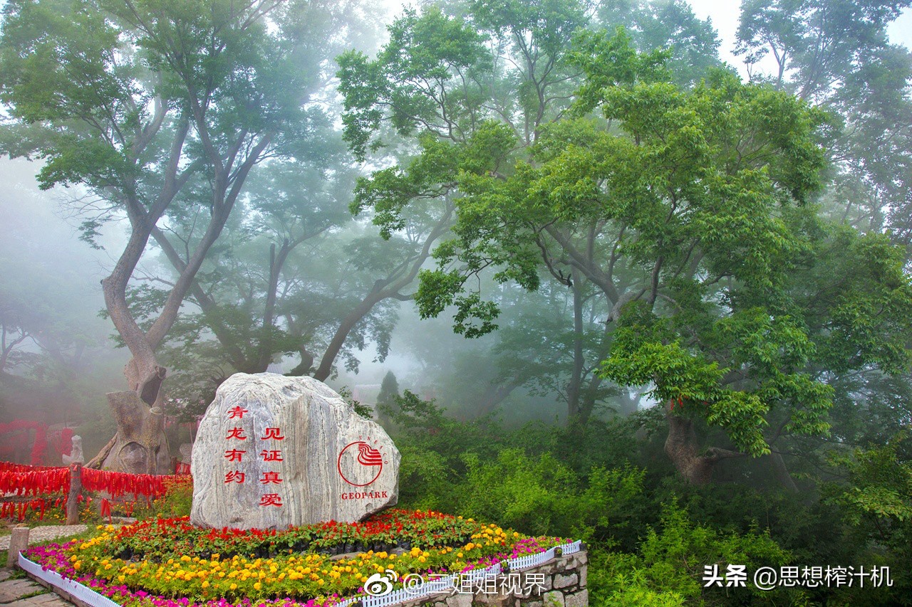 你耍我呢?还耍赖?这姓氏令人错乱然后大笑,现在比大熊猫数量少