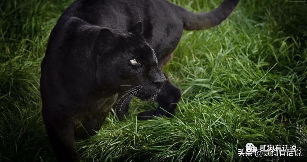 小时候我们都遇到过哪些谎言,小时候我们被骗的5个谎言