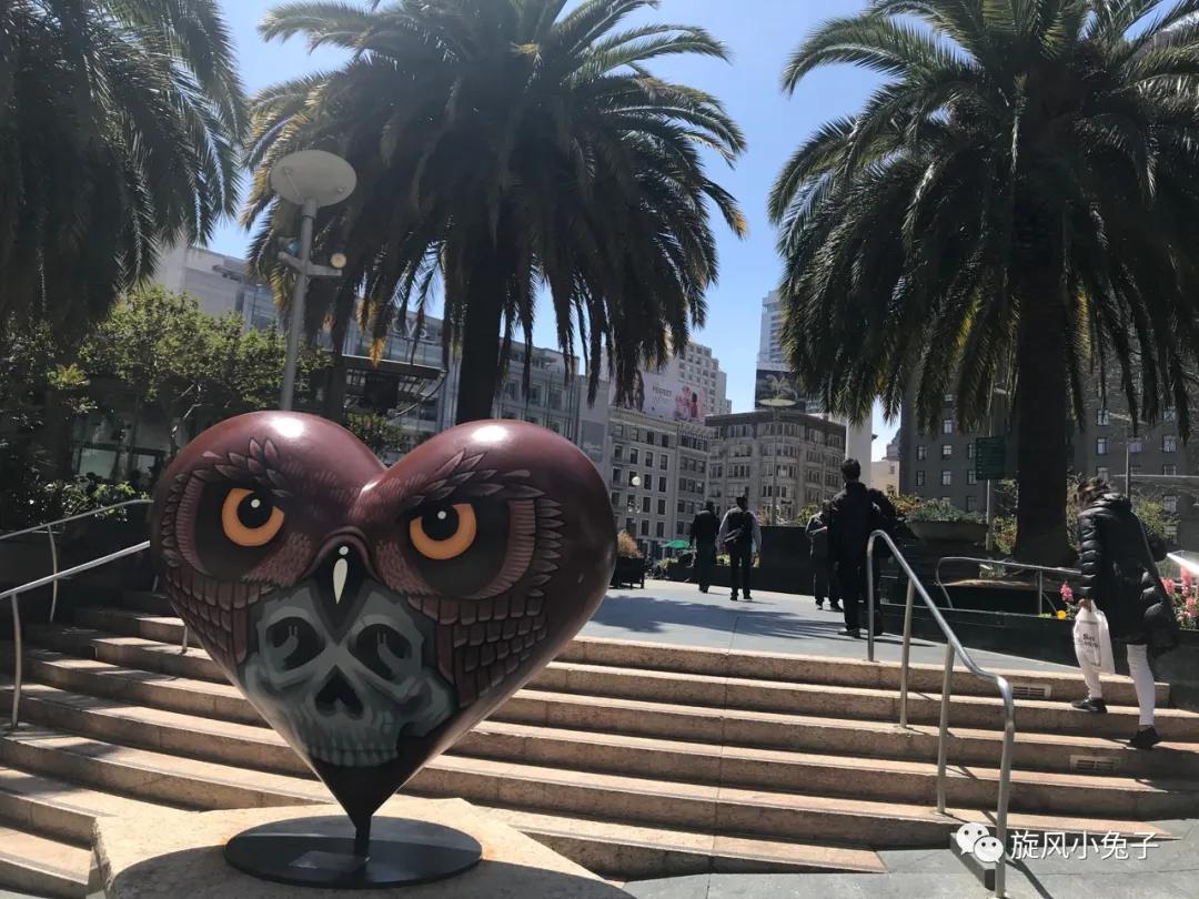 加州沿海1号公路自驾游散装系列（一）：阳光北加的金山依旧