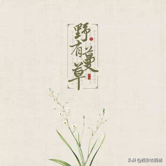 诗经楚辞大气女孩笔名,诗经楚辞中的绝美名字网名