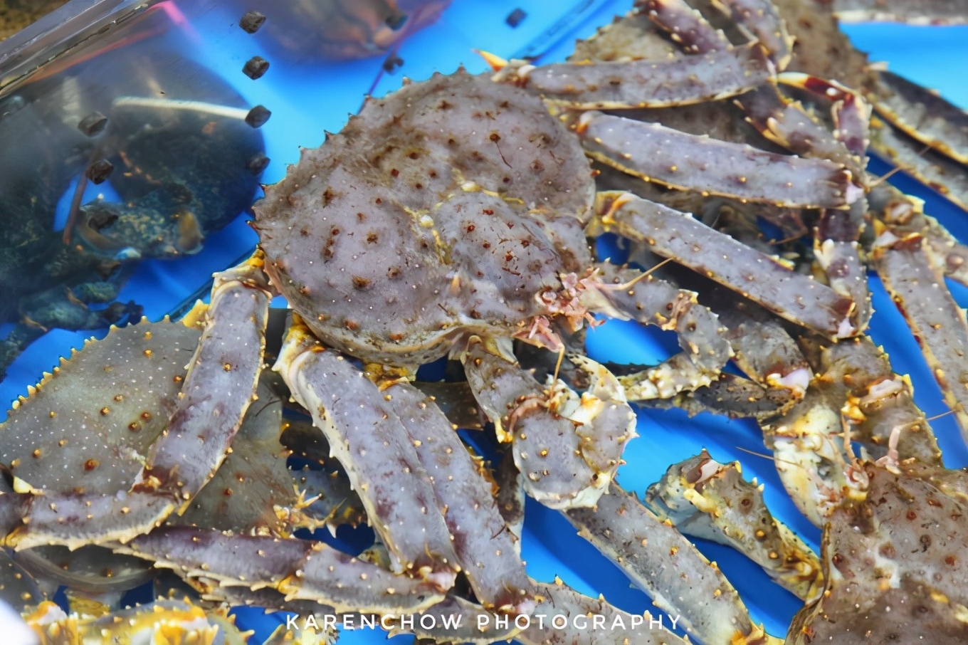 閲滃北濂界帺涓庡ソ鍚冪殑鍦版柟,閲滃北鏃呮父缇庨