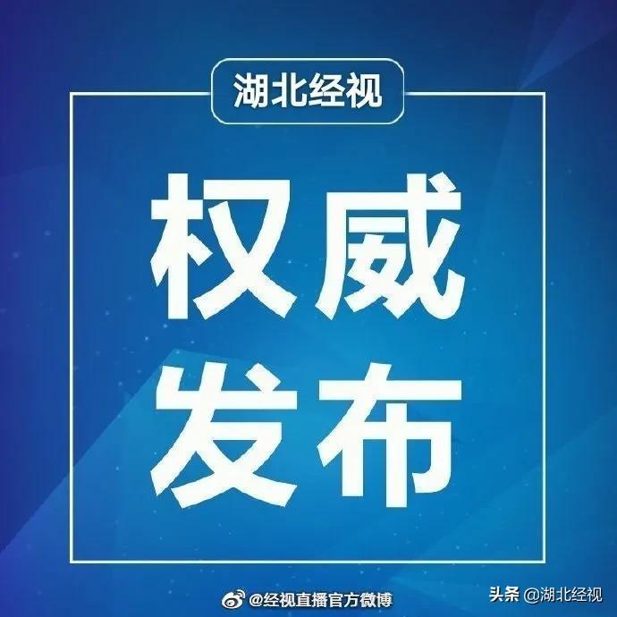 武汉志愿者招募官网汉口,武汉市招募志愿者补贴