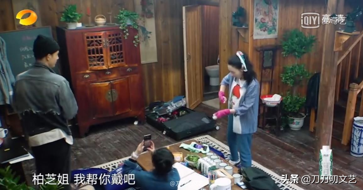 张柏芝送礼物,陈飞宇张柏芝综艺视频