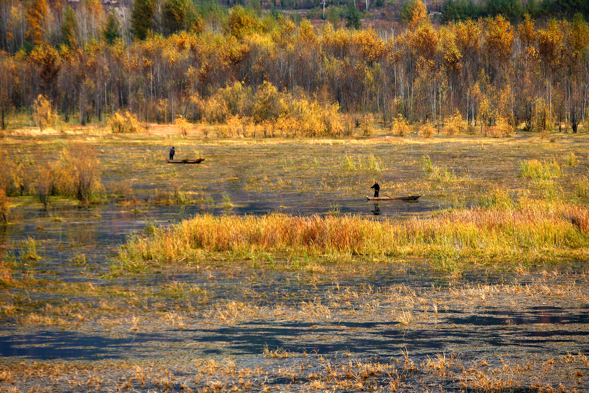 西昌邛海湿地全国排名,西昌邛海湿地