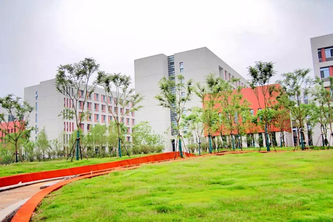 武汉最近哪所大学要搬新校区,武汉重点高中新校区