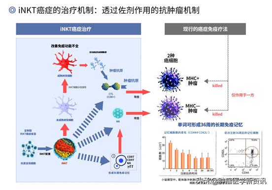 得了癌症更令人绝望的事,面对癌症人体可以自愈