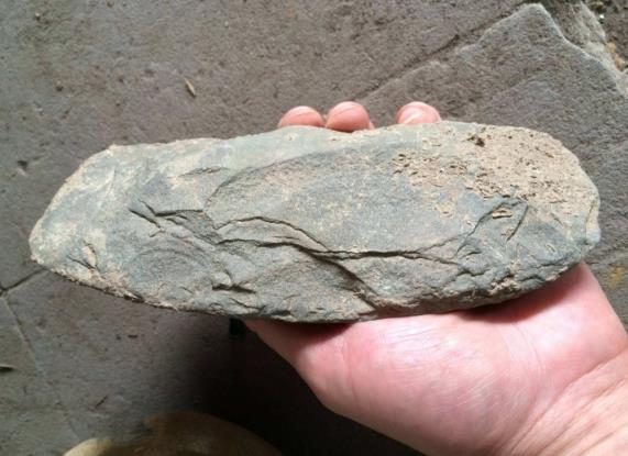 距今约200万年前的最早古人类化石,人类发现570万年前的脚印