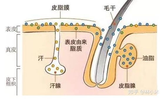 黑心商家想坑孕妇结果自己惨了,孕妇用品都有哪些骗局