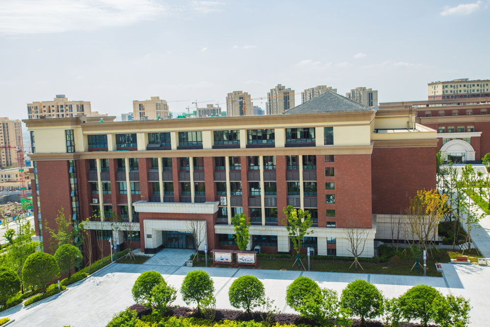 重庆最强的学校,重庆八中全国排名2020