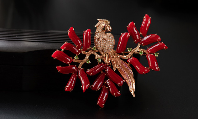 买珊瑚，看这篇就足够了~