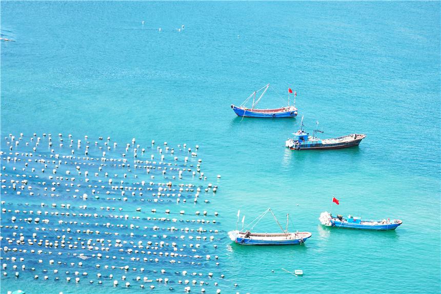 嵊泗旅游美食攻略,嵊泗攻略3天2夜美食推荐