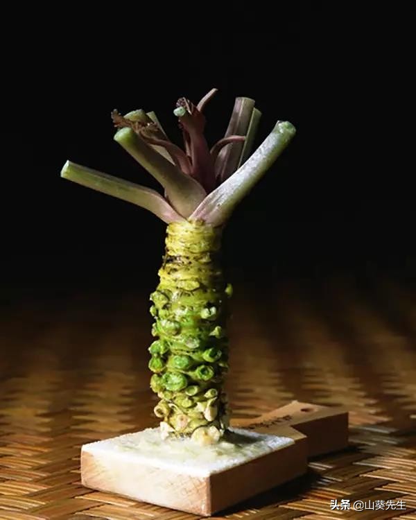 市面上的芥末都是假的,你吃的芥末是真的吗