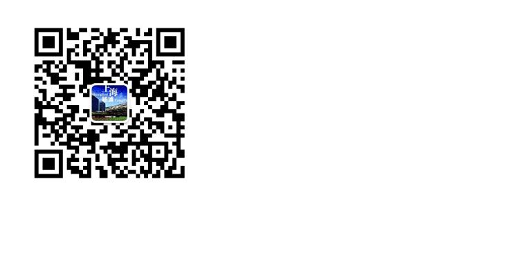 穿越到粮票年代的精彩小说,穿越回到用粮票年代的小说