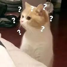 在法国报税需要什么手续,法国报税最新规定