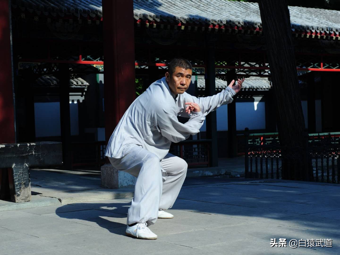 脊柱是人身体的龙脉,脊柱是人体的龙脉